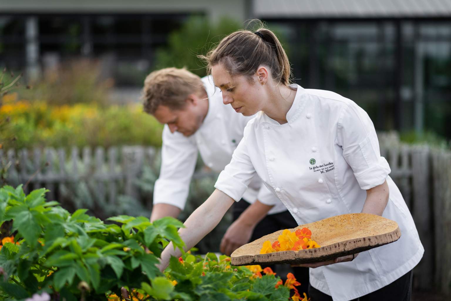 Les Jardins Sauvages in La Gacilly Organic Restaurant Brittany