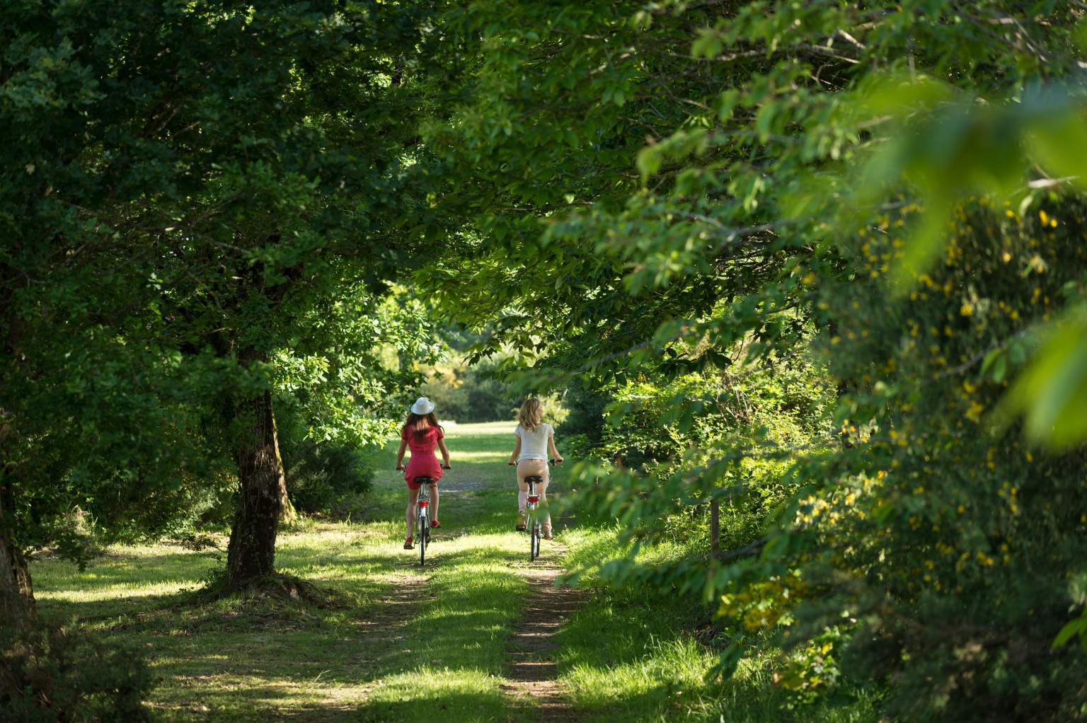 Wellness Yves Rocher La Grée des Landes Hôtel Spa en Bretagne, dans le Morbihan 