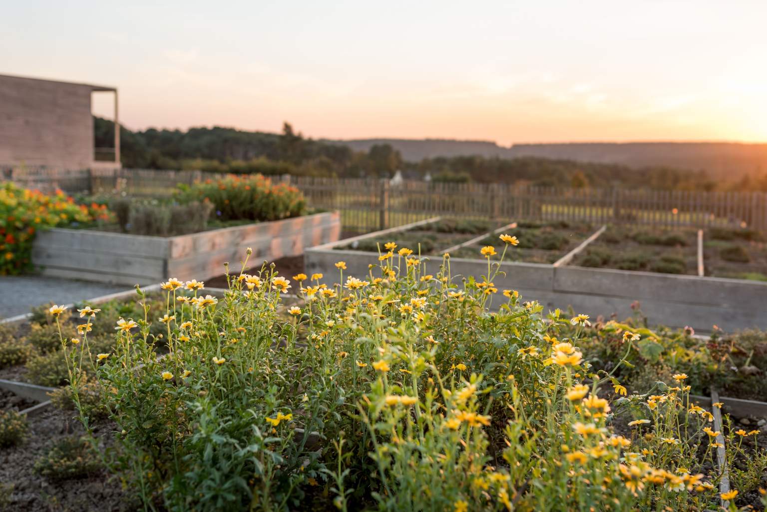 Potager Les Jardins Sauvages à La Gacilly, Restaurant Bio Bretagne 