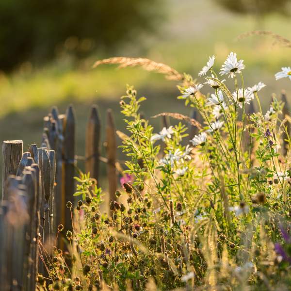 La Grée des Landes Eco-Hôtel Spa Yves Rocher en Bretagne à La Gacilly