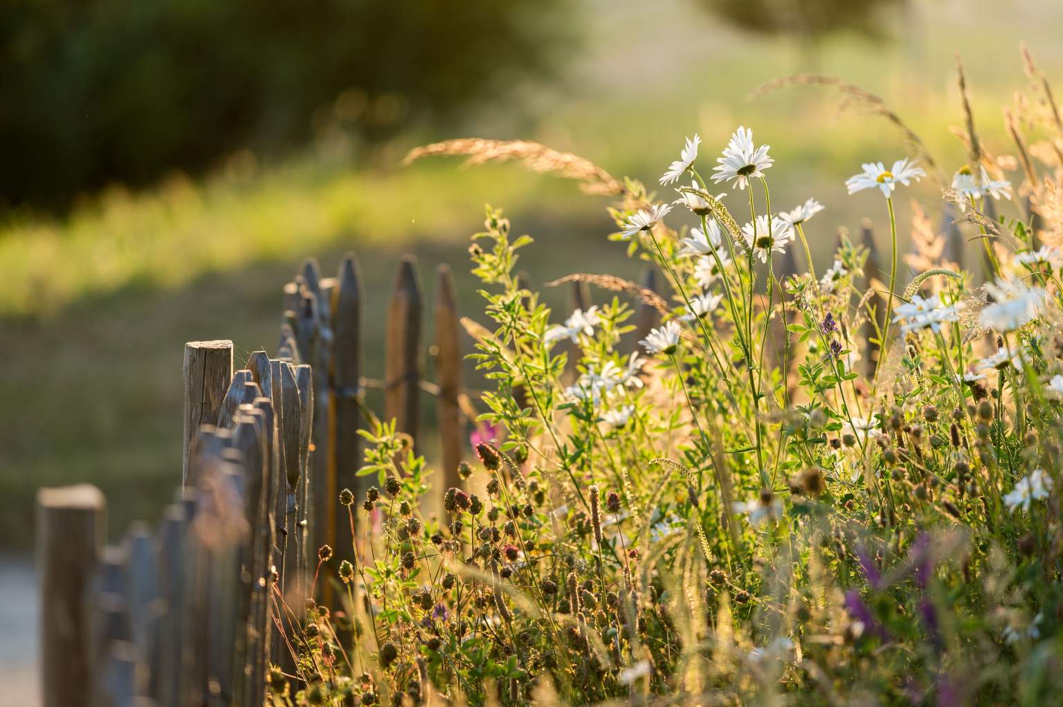 Séjours et Week-end en Bretagne, Eco-Hôtel Spa Yves Rocher