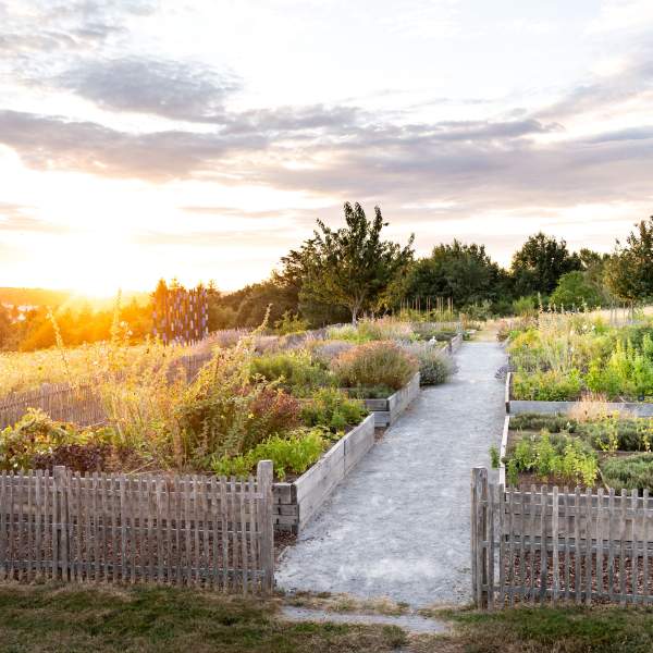 Les Jardins Sauvages in La Gacilly Organic Restaurant Brittany