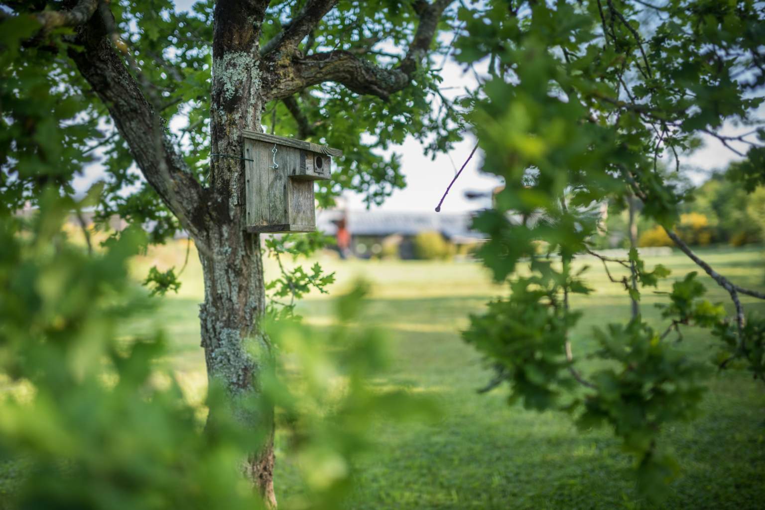 La Grée des Landes Eco-Hôtel Spa Yves Rocher en Bretagne à La Gacilly